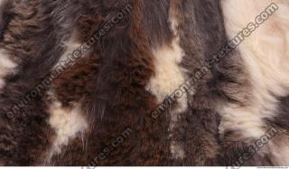 fur 0011